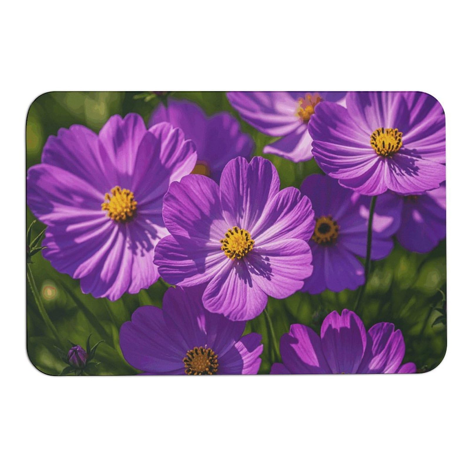 Tapis de bain super absorbant 60x40 cm pour douche et baignoire