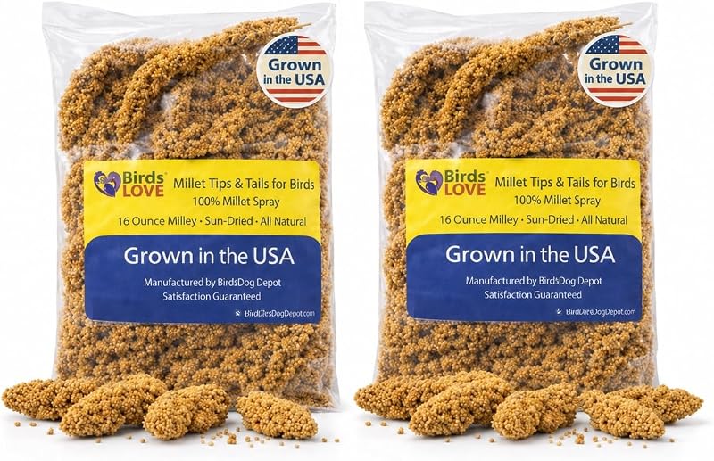 Milheto em Espiga para Aves Birds LOVE, Cultivado nos EUA, Não Transgênico, 2 Pacotes de 454 g