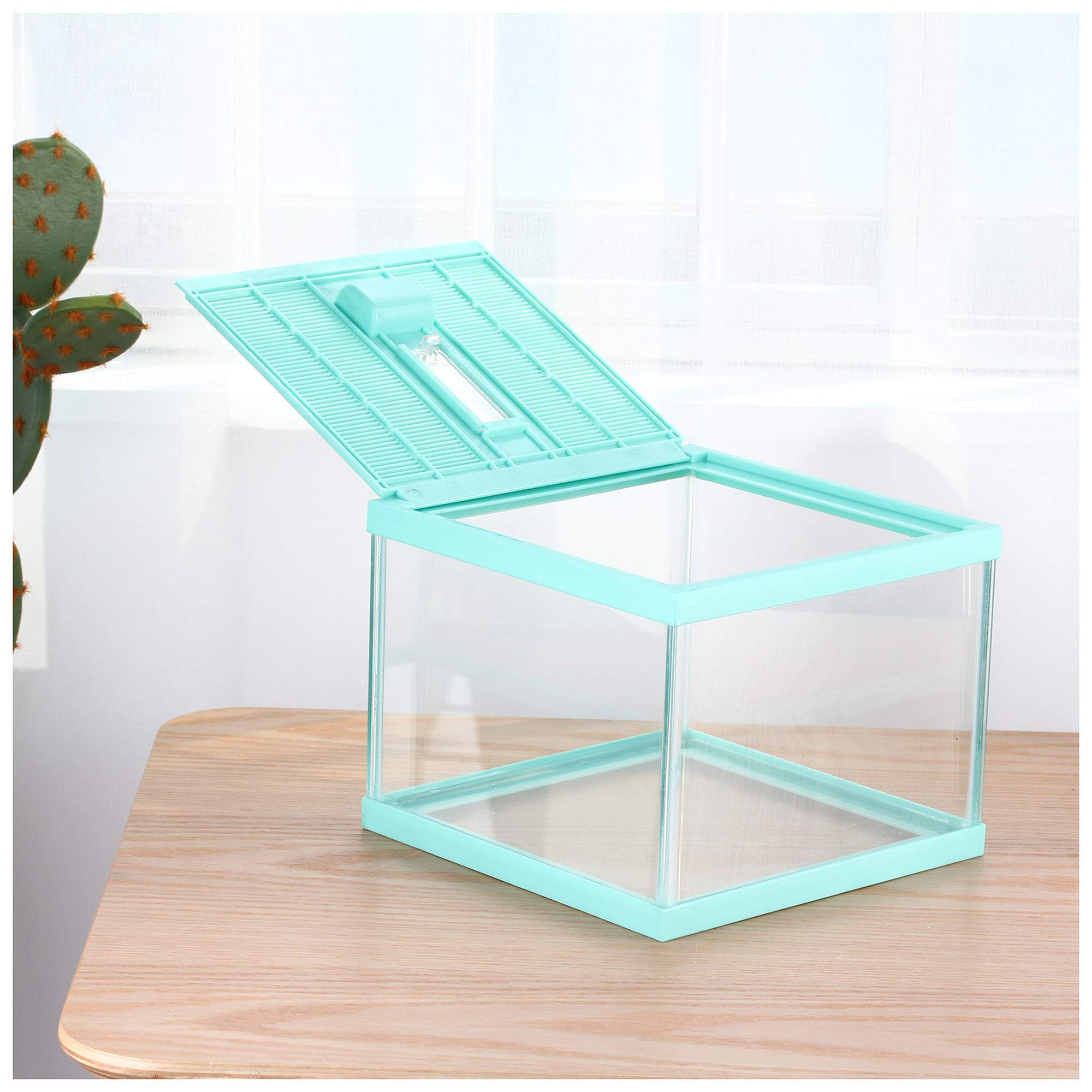 Buy crapelles Reptile Gecko Terrarium Color Green Spider cage Tarantula