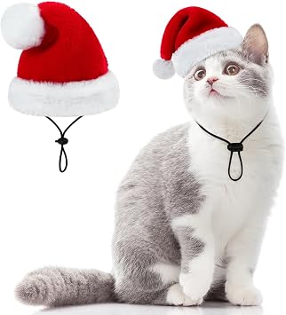 Queenmore Santa Hat for Dogs and Cats, Funny Tiny Christmas Hat for Small Dogs, Soft Plush Festive Red & White Santa Claus Costume, Christmas Dog Costume Cat Costume with Adjustable Band, S