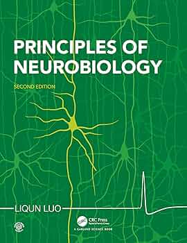 【新品未使用】Principles of Neurobiology 71hfBbbiiSL._UF350,350_QL50_.jpg