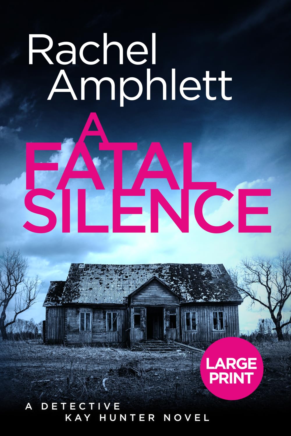 A Fatal Silence: A Detective Kay Hunter crime thriller (crime thriller): 14