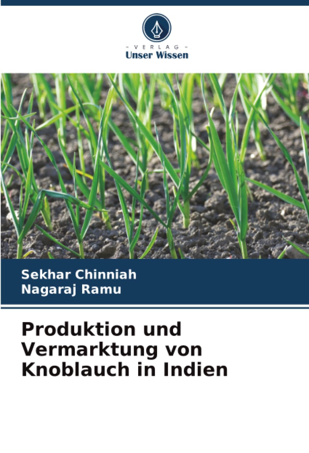 Produktion und Vermarktung von Knoblauch in Indien