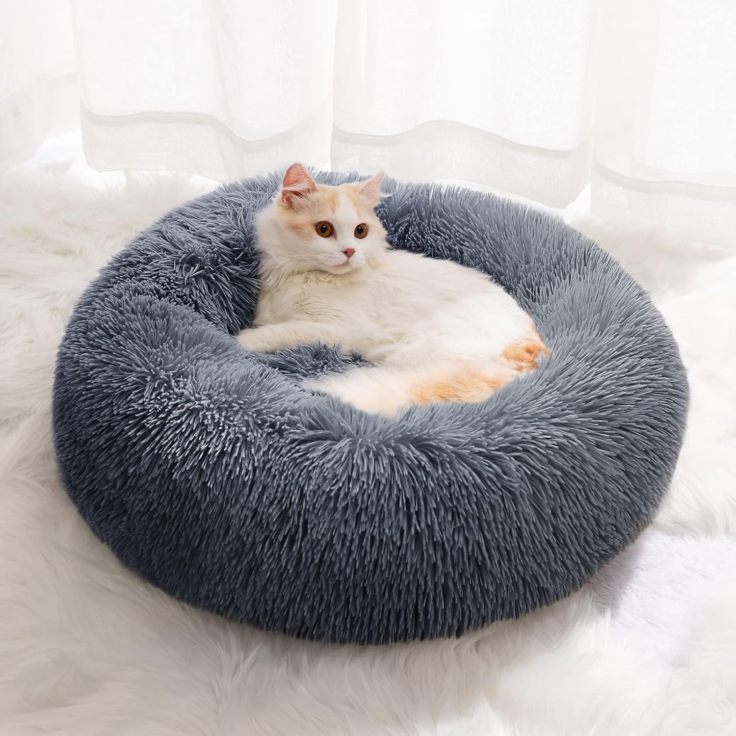 YOJOGEE Small Cat Bed for Indoor Cats, Self-Warming Donut Kitty Bed for Small Cats Keeping Warm, Washable Pet bed with Anti Slip Base, DarkGrey 40cm YOJOGEE Small Cat Bed for Indoor Cats, Self-Warming Donut Kitty Bed for Small Cats Keeping Warm, Washable Pet bed with Anti Slip Base, DarkGrey 40cm