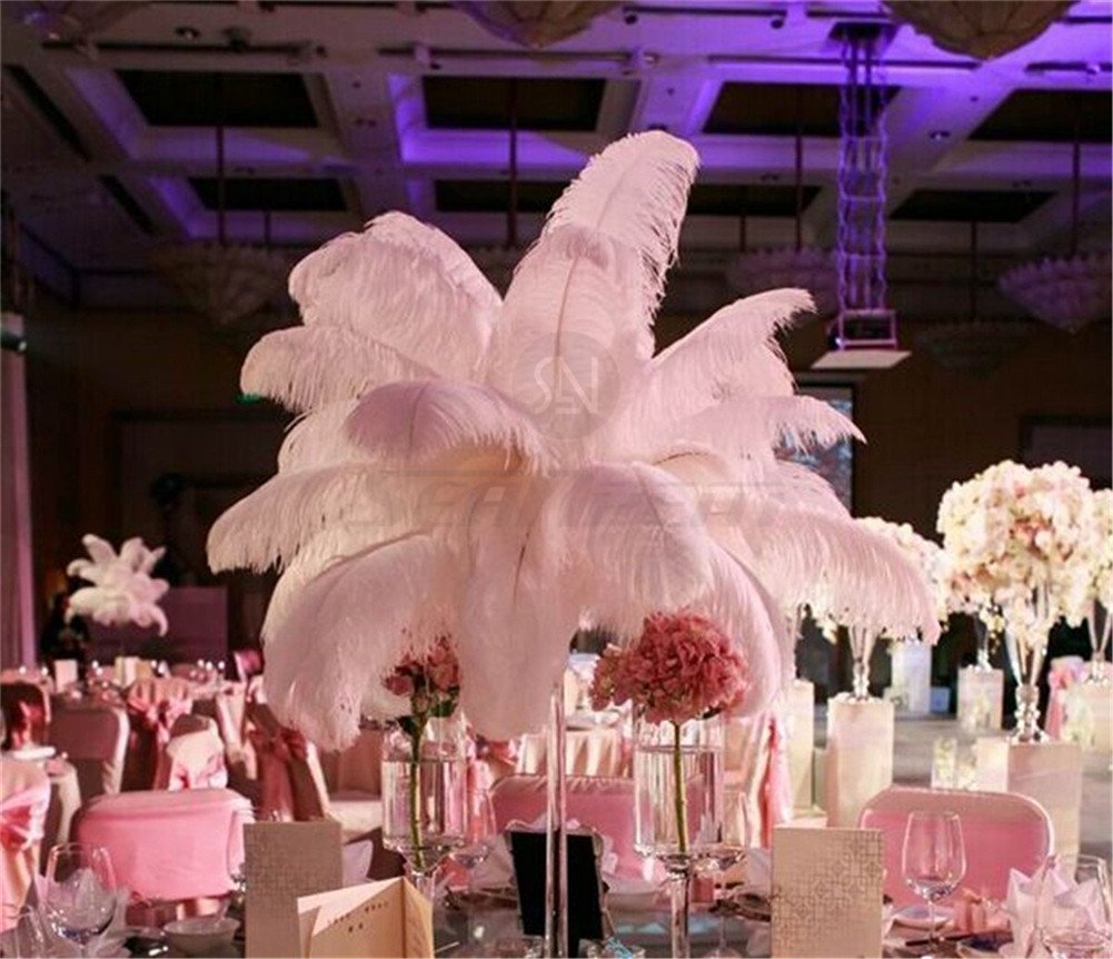 Amazon | ダチョウ羽 天然羽毛 100％リアルナチュラル