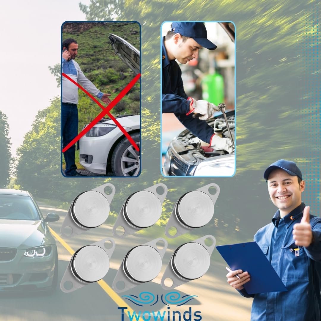 Twowinds - Kit Annullare Farfalle Collettore Aspirazione (22mm) Compatibile con BMW E38 E87 E46 E90 E91 E92 E93 E39 E61 E63 E64 E65 E67 E83 E53 E71 E72 - Rimozione Swirl Flap (6 tappi, 20 Guarnizioni)