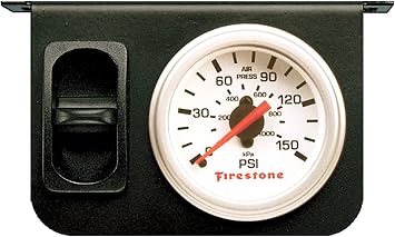 Firestone WR17602229 Air-Rite Electric Paddle and Panel Kit
