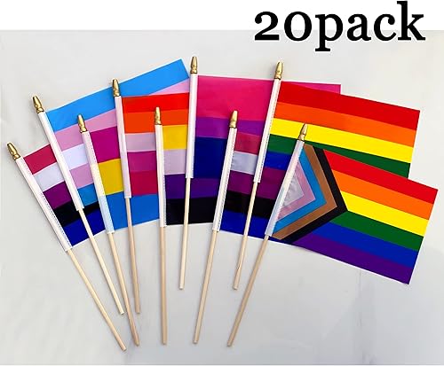 Miniatura 5 de LUSEAN - Juego de banderas pequeñas de mano LGBT, 8.2 x 5.5 pulgadas, paquete de 20 banderas gay con diseño de arcoíris