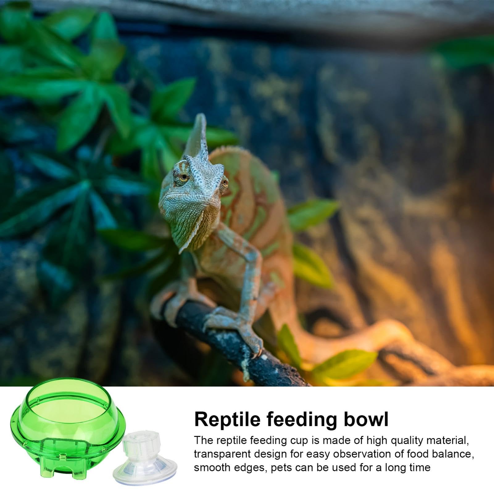 Set Ciotole Per Rettili WIYETY - 2 Ciotole Con Ventose, Per Cibo E Acqua, Per Gechi E Lucertole - Foto 2