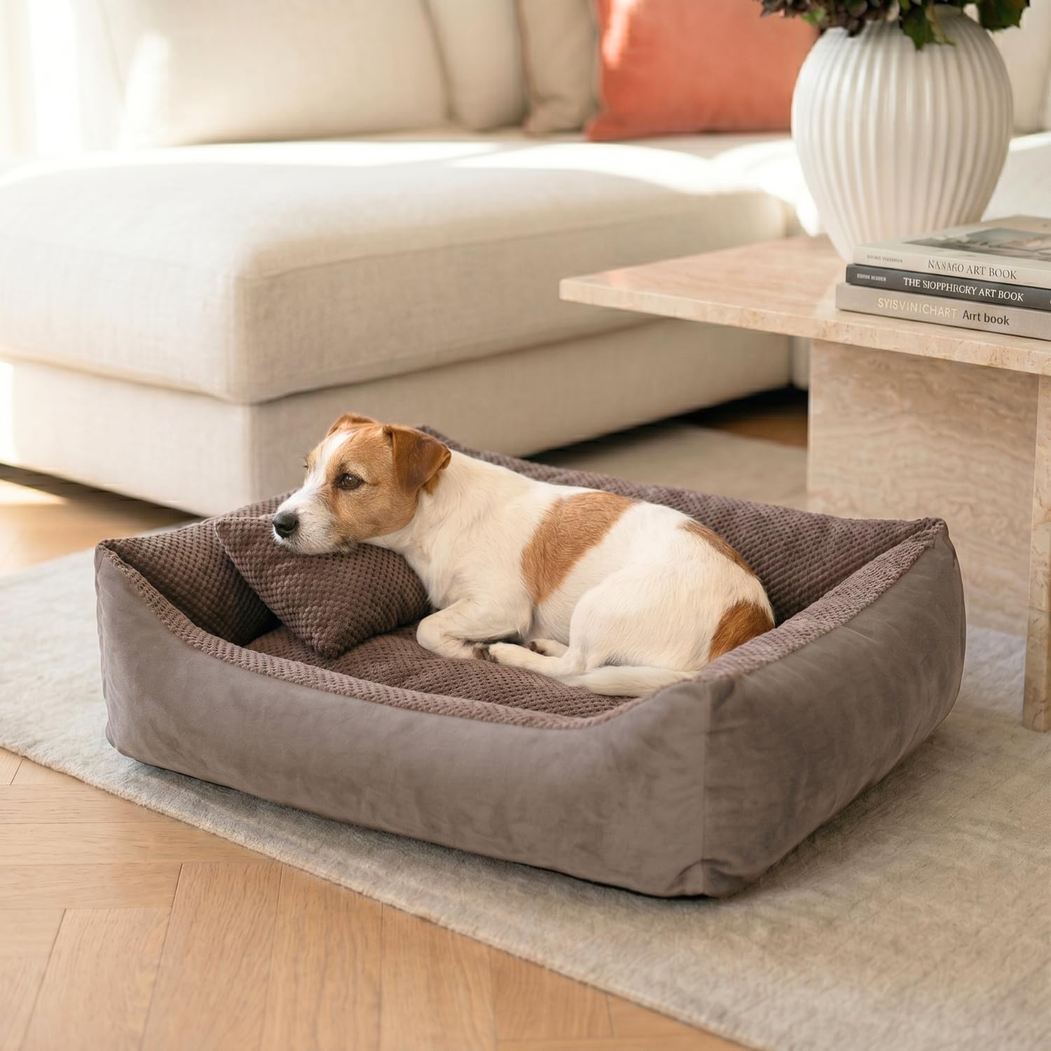 4L Textil TEO Cama para Perros Medianos Lavable y Desenfundable – Sofá para Perros en Tejido Resistente, Cojín Cómodo – 80x60 cm, Marrón | Con cremallera, lavable a máquina
