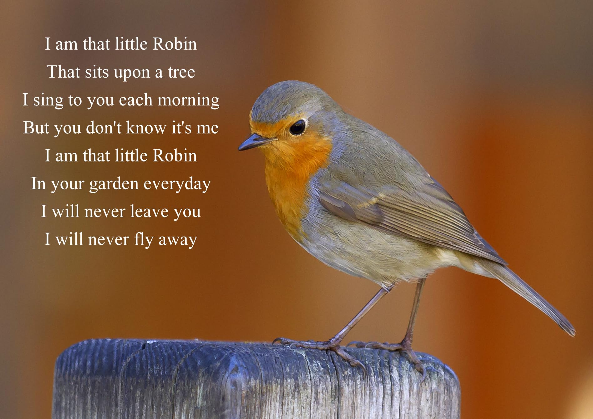 Charming Robin Art Print A5 FRAMED - verse from a passed loved one, Multi, 21L x 16W cm - Image 2