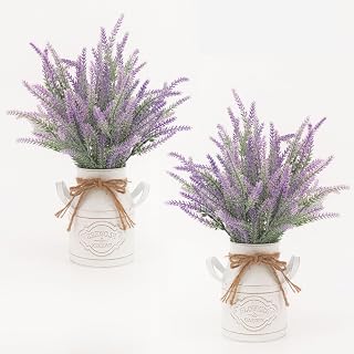 FJAKA 2Pcs Artificial Lavender Flowers in Pots with Vase, Fake Faux Lavender Flowers Decor, for Farmhouse Table Centerpiece Windowsill Country Indoor Mantle Decor