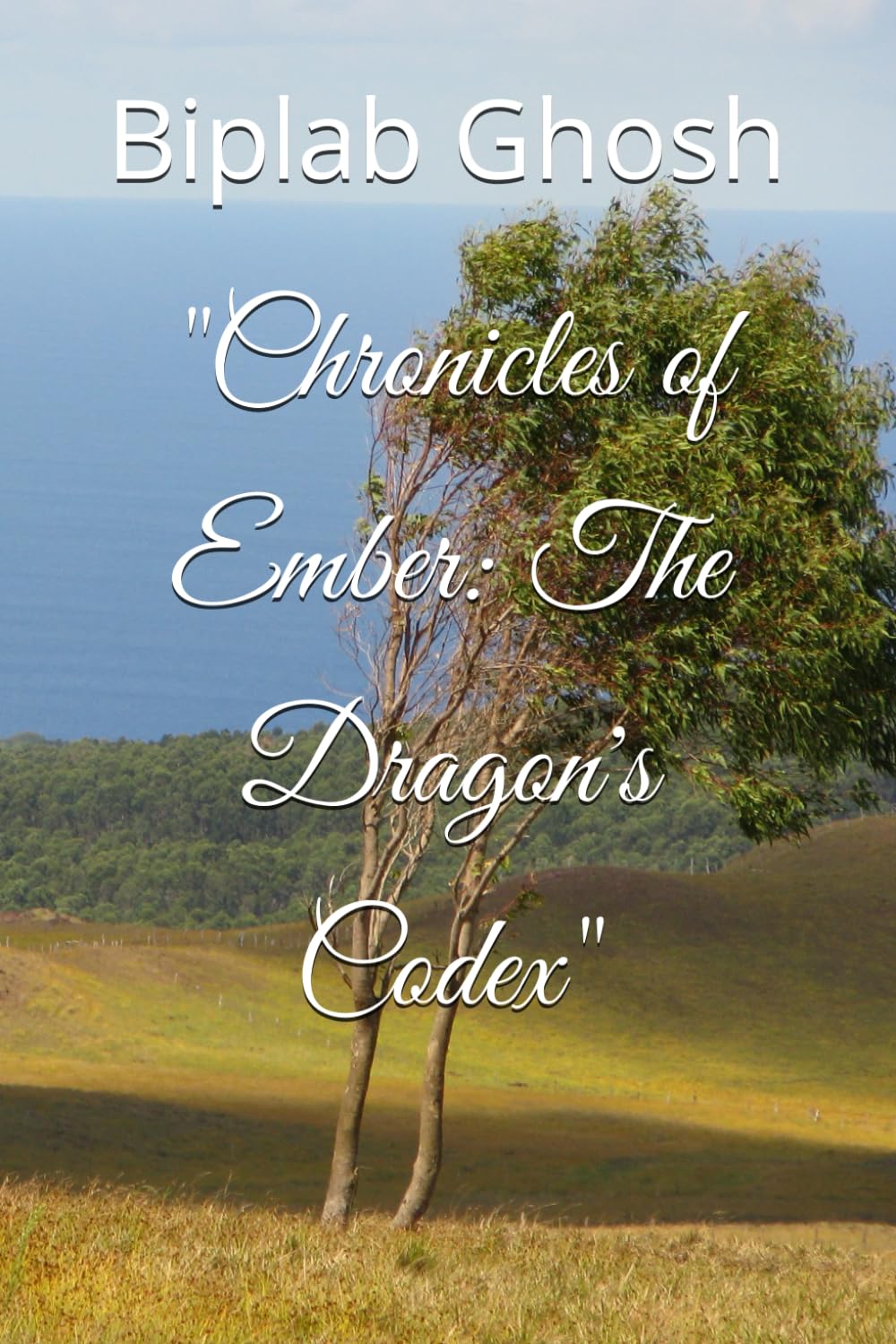 Chronicles of Ember Beau Livre de Fantasy à Offrir aux Passionnés de Dragons