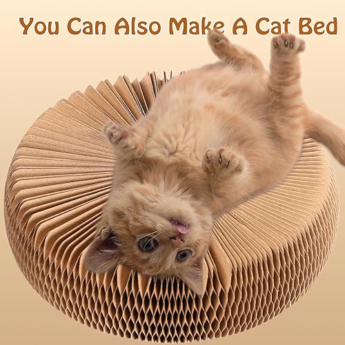 Miniatura 5 de Juguete de pelota de pista para gatos de doble capa, aventura de pelota de gato, el mejor ejercicio físico mental interactivo para gatos de interior