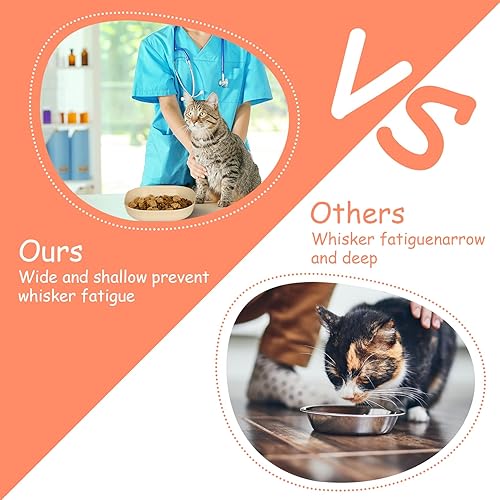 Miniatura 6 de Juego de cuencos de comida para gatos, cuenco poco profundo para gatos de 6 pulgadas de ancho para aliviar la fatiga de bigotes, plato plano pequeño