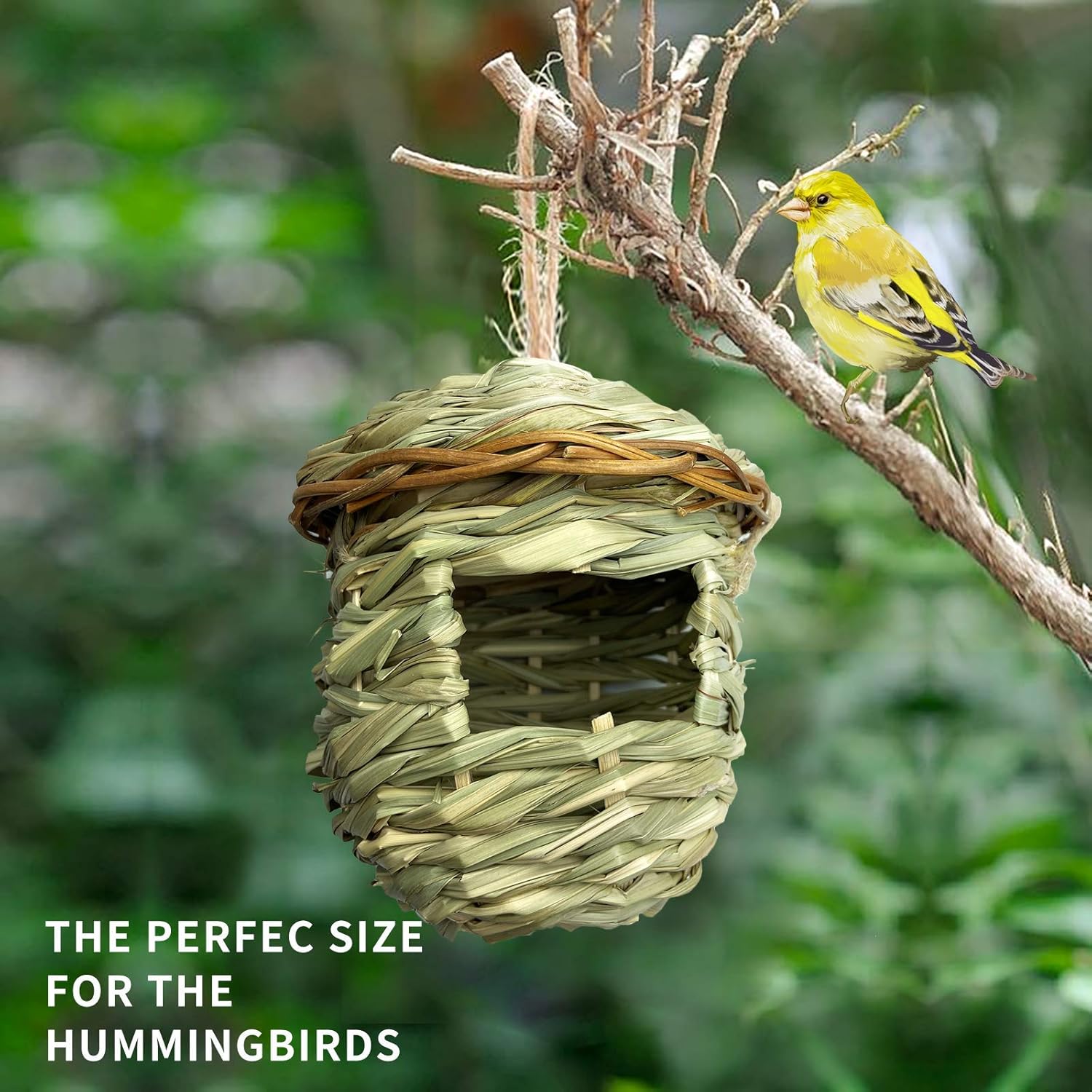 Hummingbird House for Outside for Nesting, Hanging Bird House with Rope for Outdoors, 9.8 x 4.72 Inch Hand Woven Natural Grass Birdhouse,Garden Outdoor Home Decoration,for Finch Canary,2 Pack: Pet Supplies