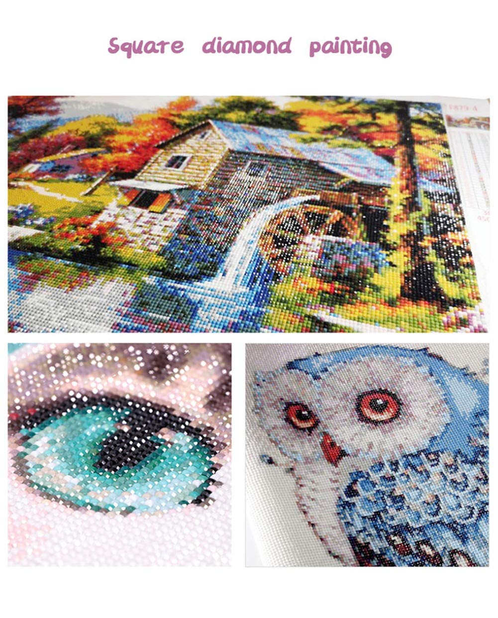 DIY 5D Diamond Schilderij Kits Volledige Boor Grote Grootte Diamant Art Borduurwerk Foto's Crystal Strass Kruis Stitch Gift voor Thuis Woonkamer Keuken Muur Decor Paard Vogel (30x40cm/12X16in) A4755