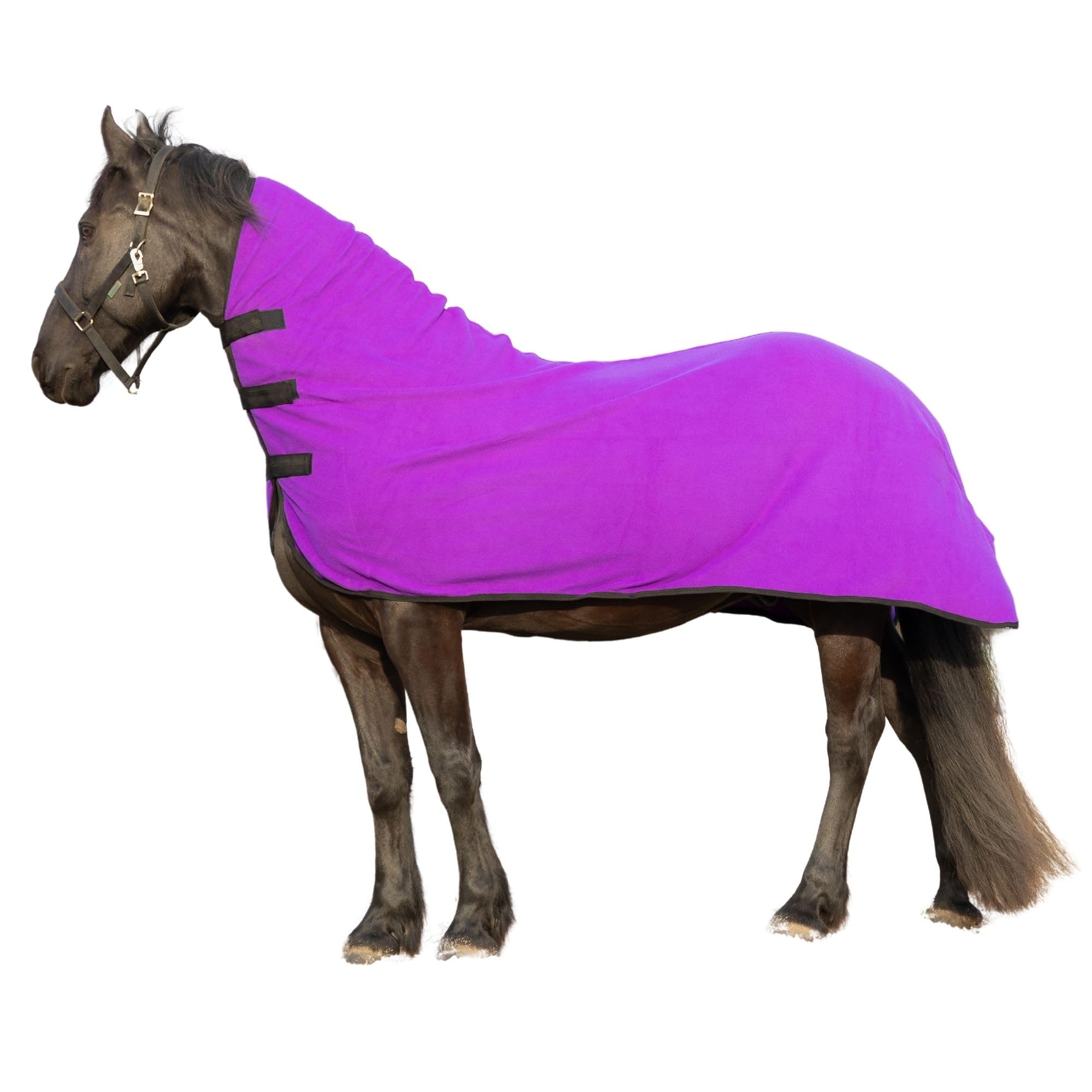 RESISTANCE Enfriador de contorno de forro polar suave de larga duración y cálido para caballo (XL (80-82 pulgadas), morado