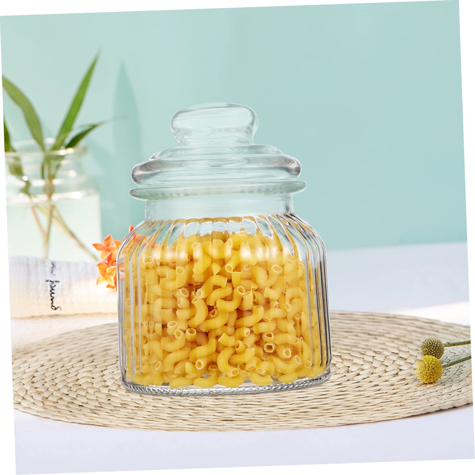 COLLBATH Set 2 Barattoli e Lavabile in Lavastoviglie in Vetro Trasparente 650ml Bocca Larga Coperchio Ermetico per Conservare Dolci e Snacks a Feste e Capodanno