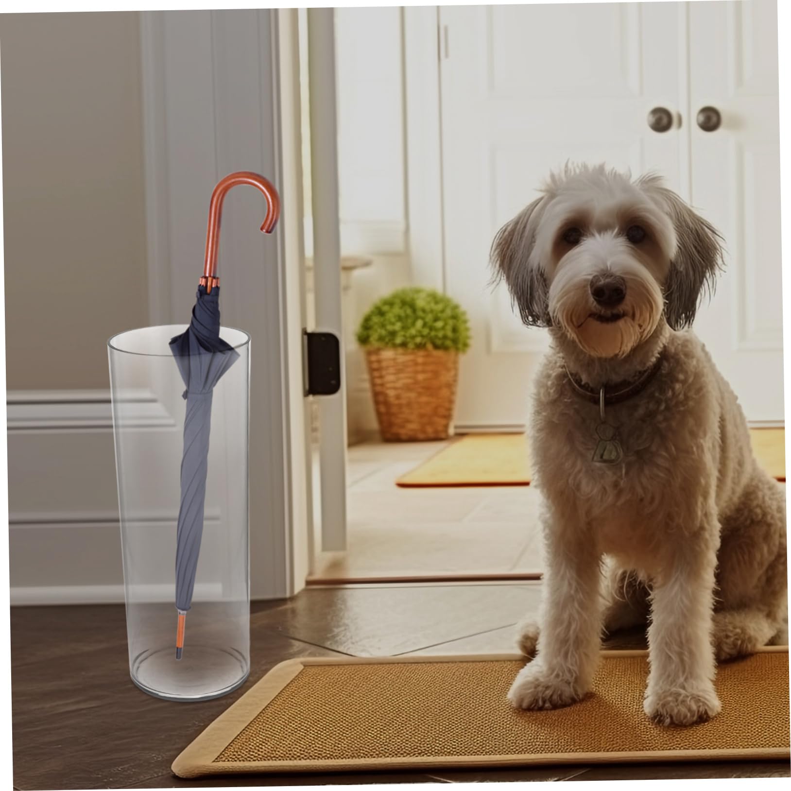 Contenitore Rotondo Trasparente per Ombrelli Pet, Stabile e Salvaspazio | Organizza e Asciuga Ombrelli e Bastoni, Stile Moderno Decorativo, per Ingresso e Interno