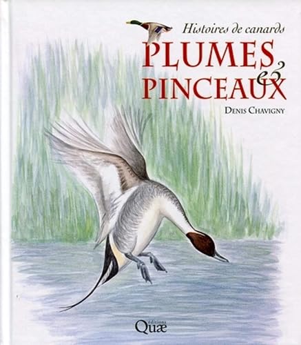 Plumes &amp; pinceaux : Histoires de canards