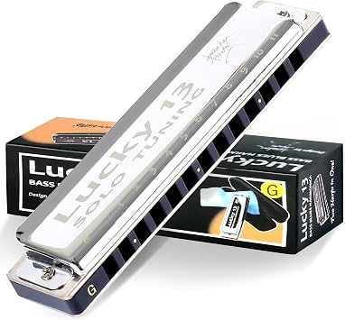 East top Lucky 13 Bass Plus Blues Harmonica 13 Holes Diatonic Harp Mouth Organ Professional Musical Instruments Solo harmonica G key for Adults