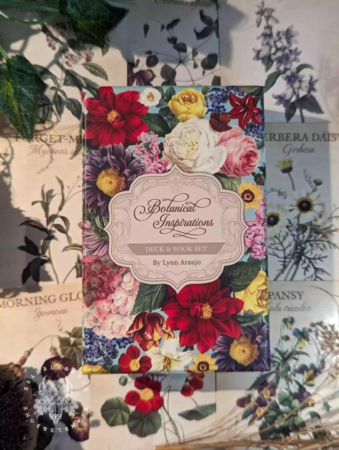 ANBOSI Botanical Inspirations Deck (Without Guidebook) | Tarot Oracle with 44 Cards | Traditional Standard Tarot Oracle Cards for Fortune Telling and Divination (Botanical Inspirations Deck)