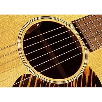 ギター L.R. Baggs Element Active System LR Baggs Element Active Undersaddle Pickup with VTC