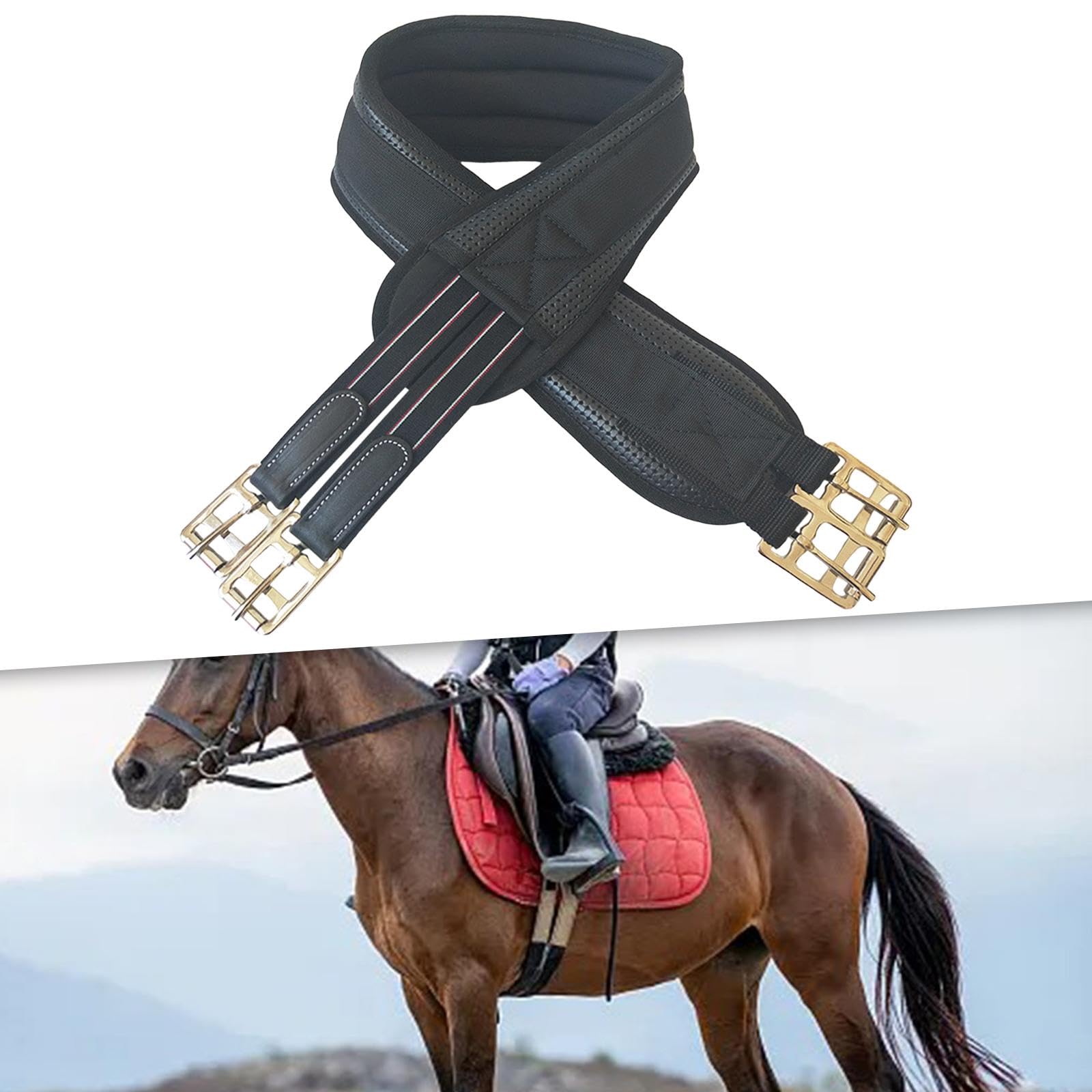 predolo Sottopancia per Cavallo Inglese di Alta qualità con Chiusure Sicure, 140 cm
