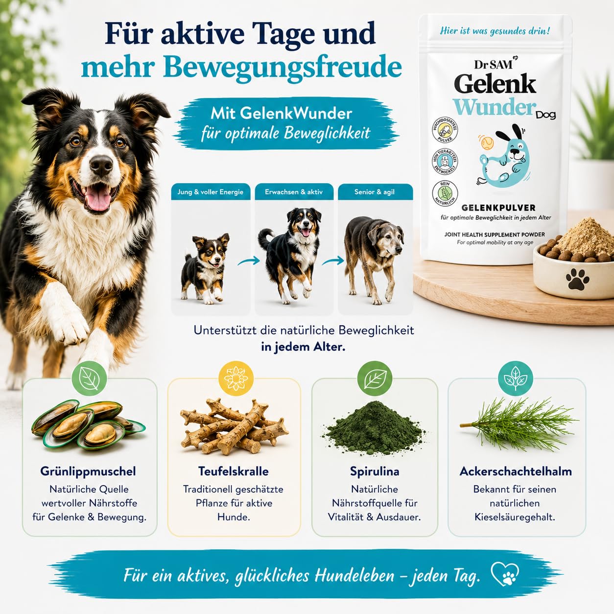 Dr. SAM Futter-Topping Starter Paket für Hunde | 3 x 90g Gesundheits-Toppings für Darmflora, Verdauung, Gelenke, Beweglichkeit, Immunsystem & Vitalität | Tierärztlich entwickelt zur Rundumversorgung