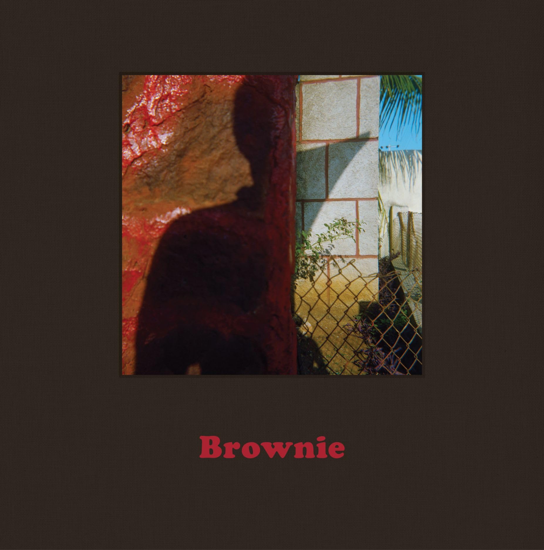 David Katzenstein: Brownie. Katzenstein, Katzenstein, 9783777445991 New.#+,.#