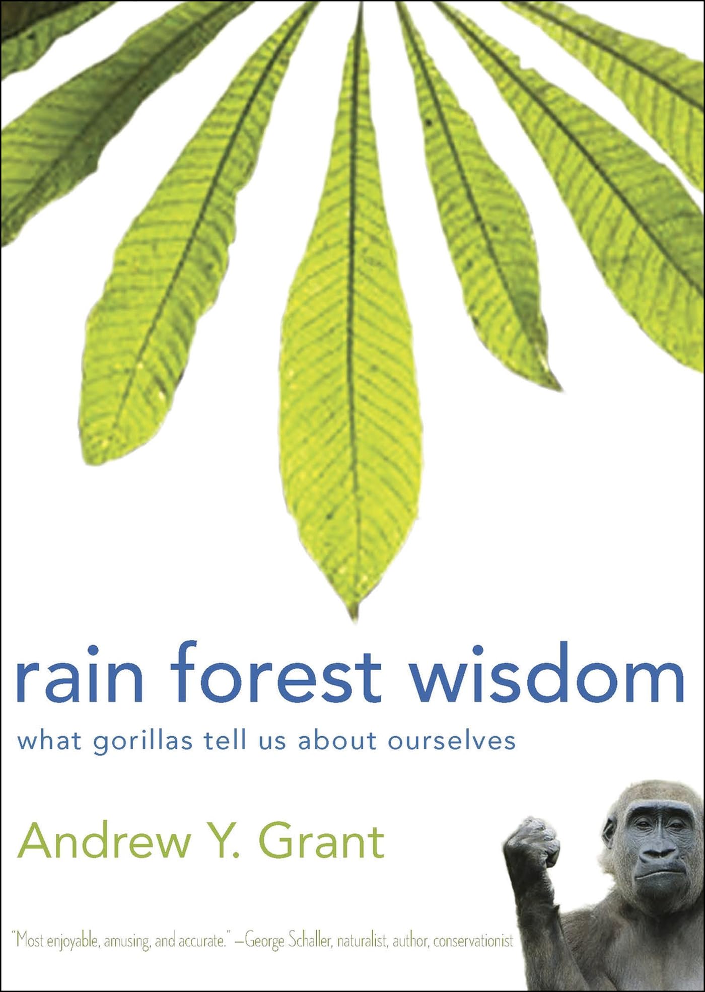 Buy Rain Forest Wisdom: What Gorillas Tell Us About Ourselves — BookShops.in