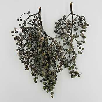 完売　希少＊高級花材【棕櫚の実＊シュロの実】花材/スワッグやリース素材に 完売 希少＊高級花材【棕櫚の実＊シュロの実】花材/スワッグや