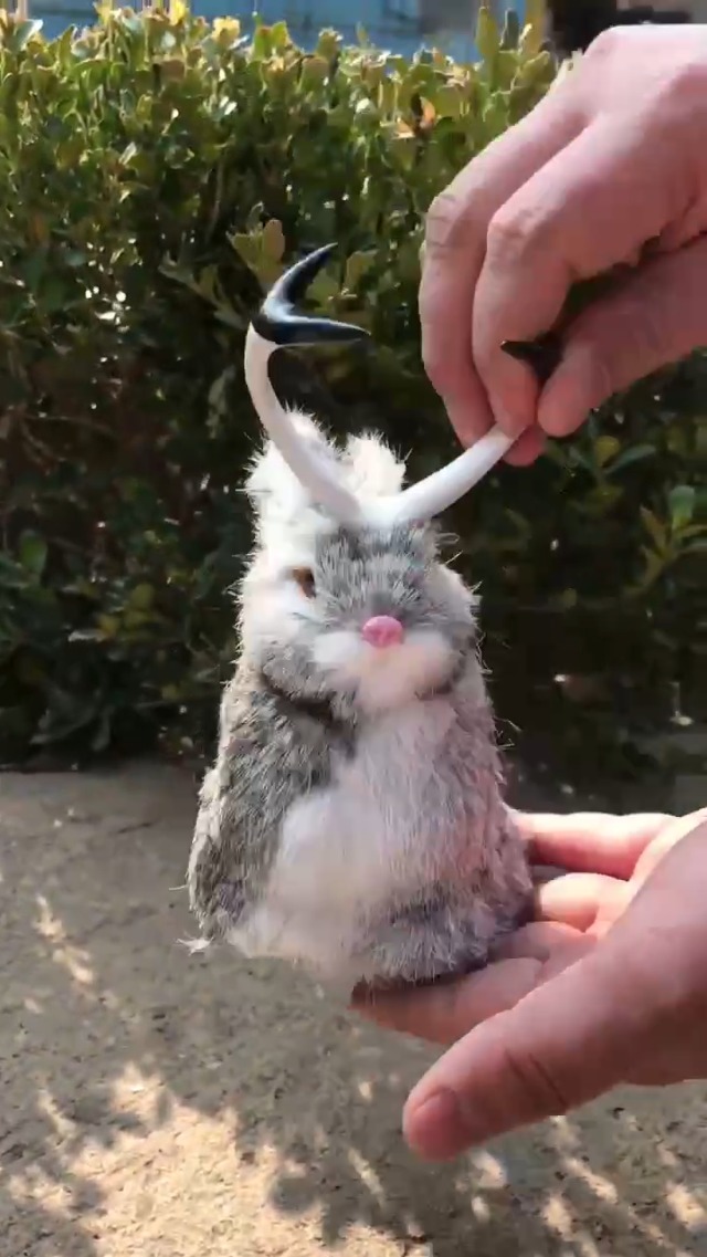 Amazon.com: Basuo-9Q Realistic Jackalope Furry Wild Animal Replica