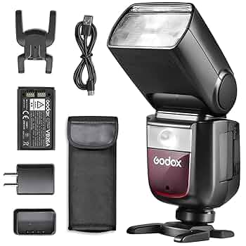 Amazon.com : Godox V860III V860III-C Camera Flash for Canon