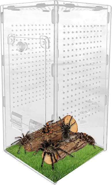 Terrario Acrílico para Ranas y Reptiles - Jaula Ventilada Antifugas