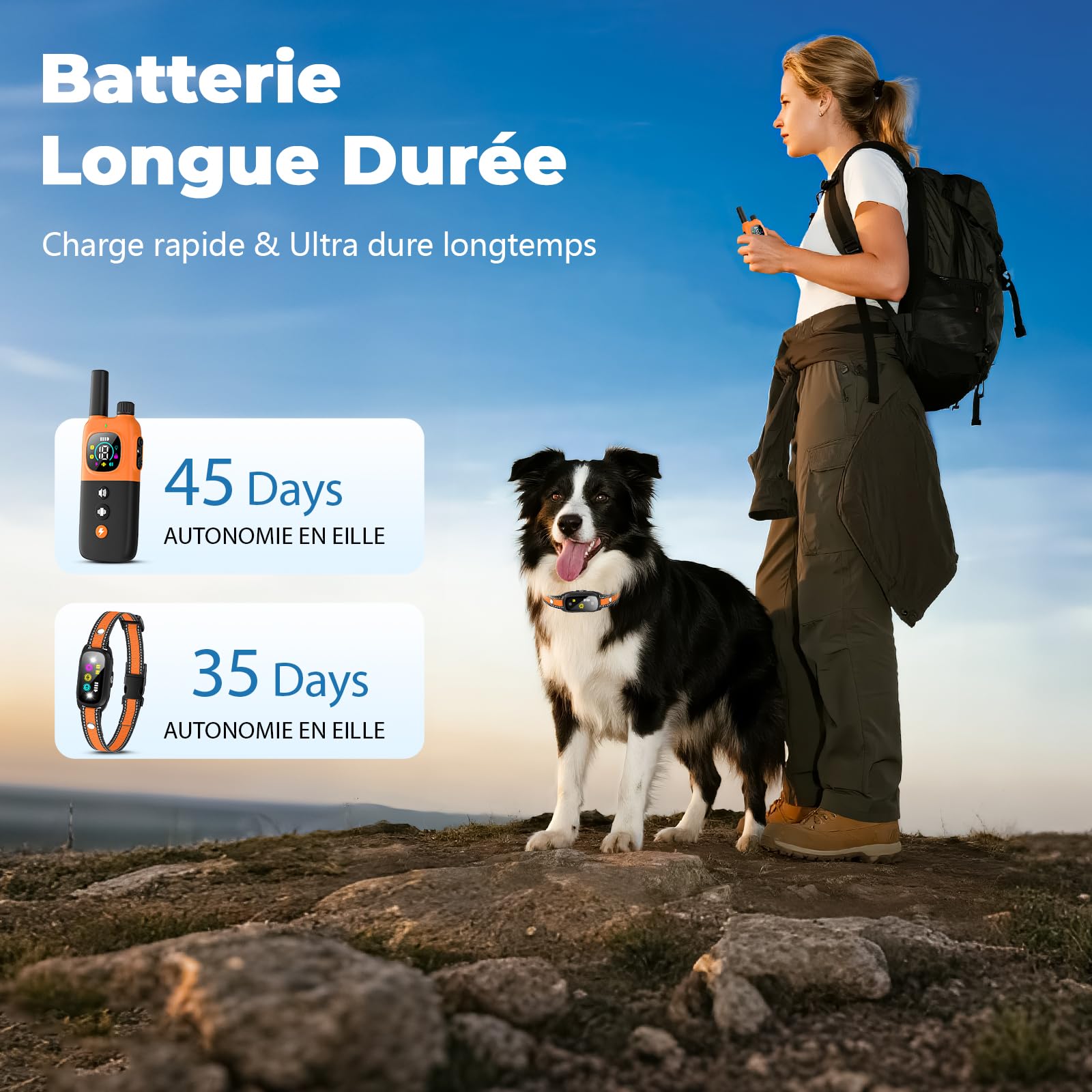 Collier Electrique pour Chien, Collier Dressage Chien avec Télécommande, Portée 1000m, 4 Modes de Dressage (Bip, Vibration, Choc, Lumière), Étanche IP67, Adapté Aux Chiens de Petits et Grands
