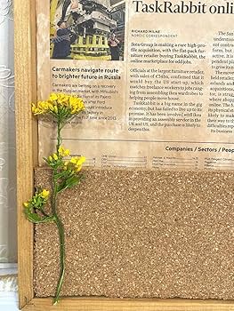 Amazon.co.jp: アンティークコルクボードドライフラワー付