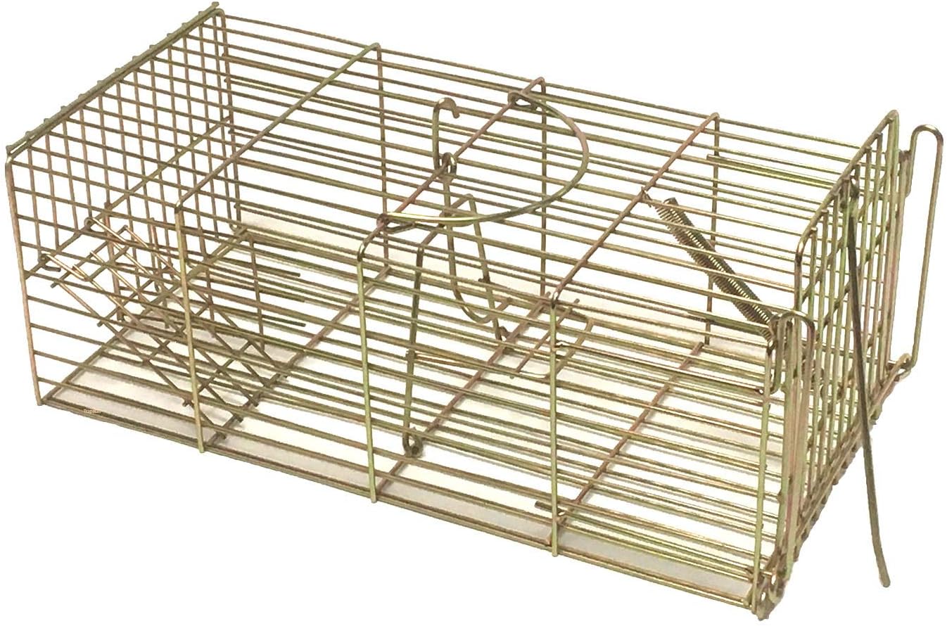 TrapMan Family multi catch rat trap Humane trap Catches Rat Trap cage