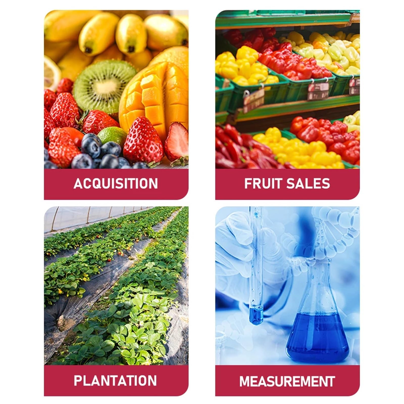 Medidor digital de sacarometría de azúcar recargable con pantalla LCD for medir el contenido de azúcar líquido en bebidas de frutas y miel.