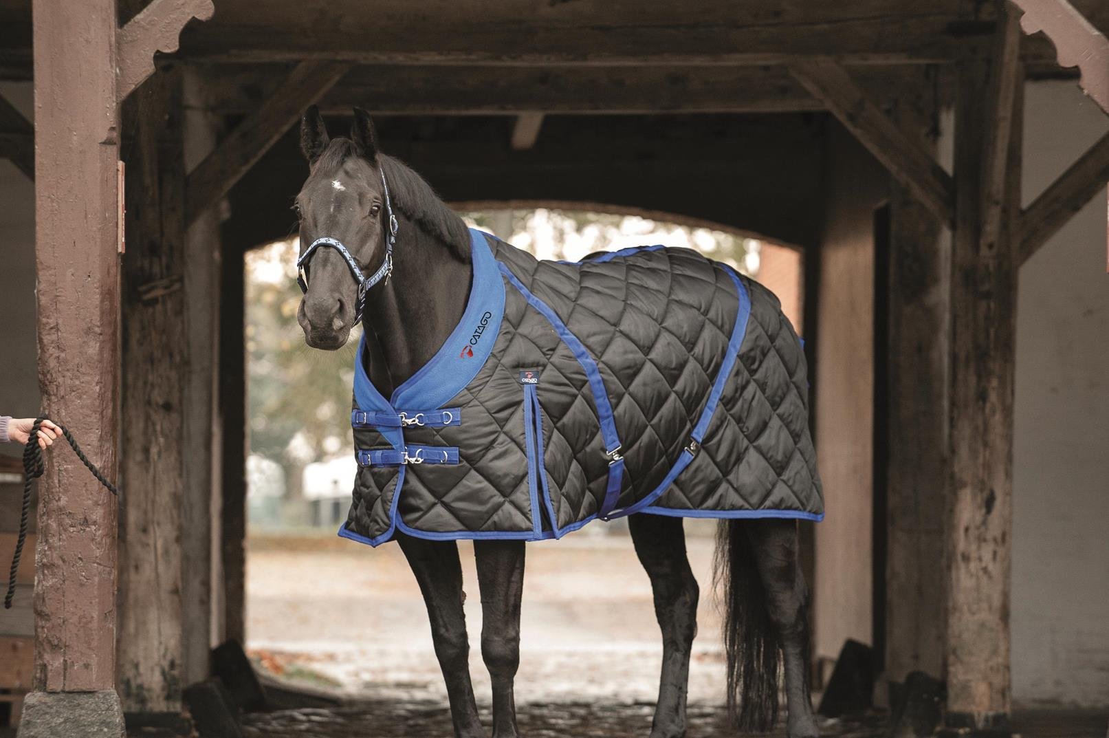CATAGO Stable 300 G Alfombra, Unisex Adulto