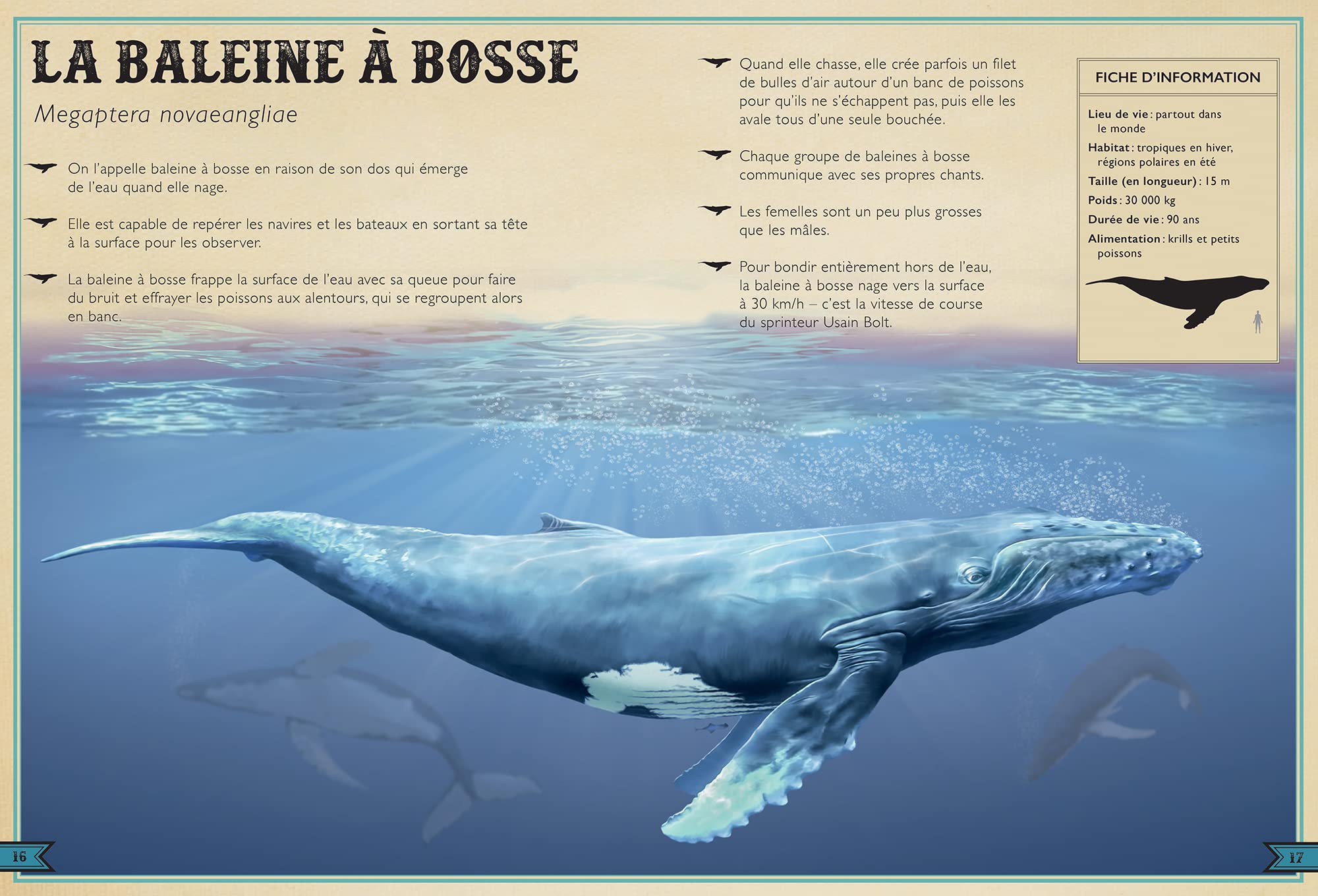 Le Livre extraordinaire des animaux des océans
