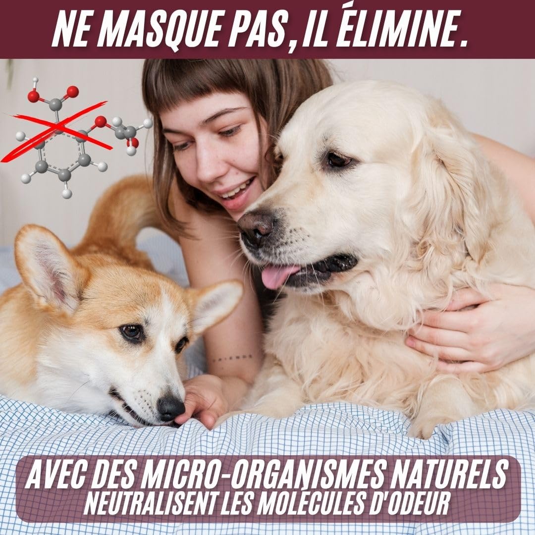 Éliminateur d’Odeurs | Formule Enzymatique et Microbiologique | Neutralise les Odeurs de Chiens et Chats | Élimine les Odeurs d’Urine et de Fèces | Désodorisant pour Maison, Tapis, Litière et Plus