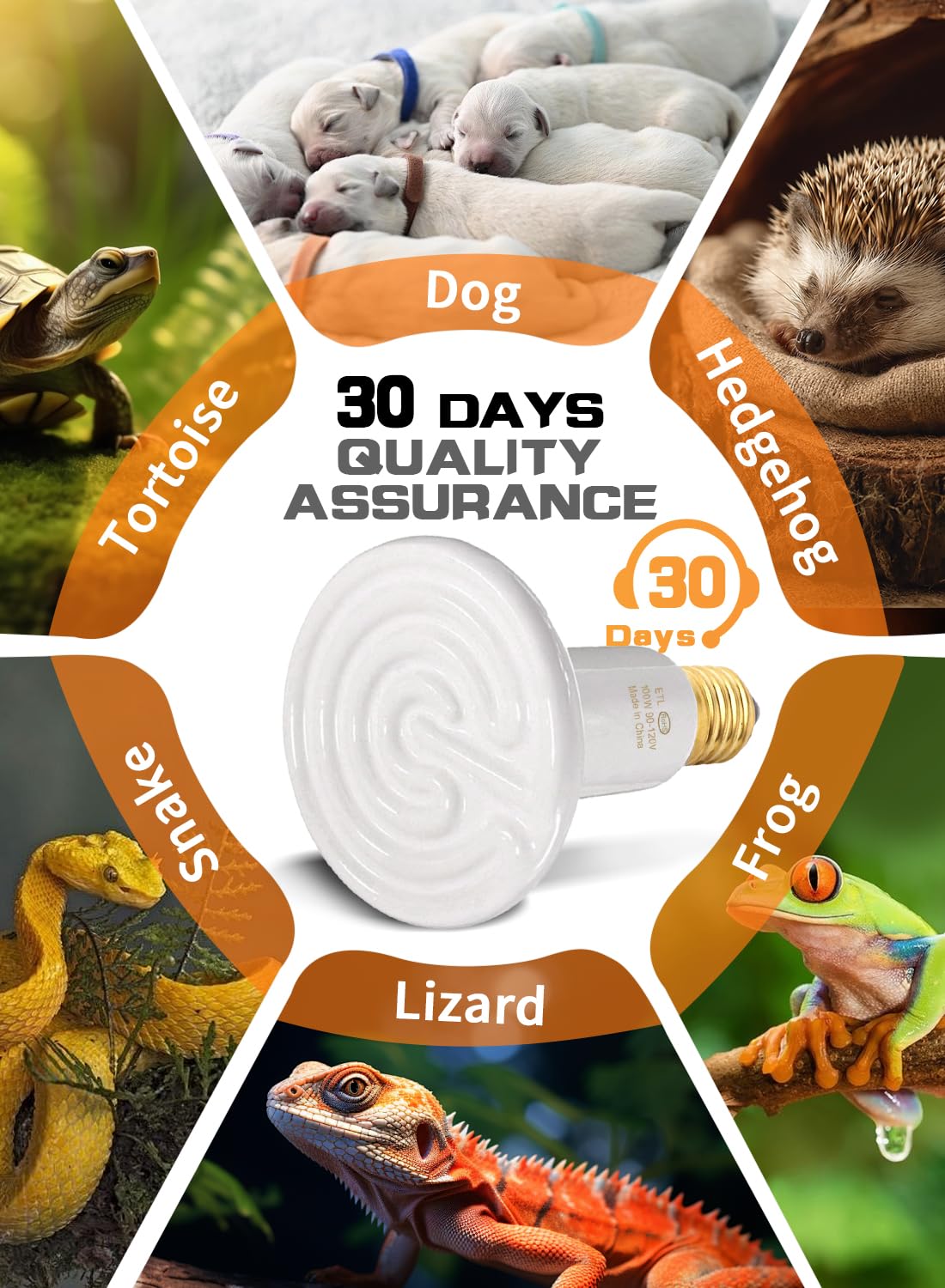 WUHOSTAM 100W 2 Pack Ceramic Heat Lamp,White Dimmable Infrared Bulb No Light Emitter Lamp Infrared Ceramic Heat Lamp Bulb for Pet Coop Heater Reptile Chicken Lizard Turtle Brooder Bulb, ETL Listed - image 7