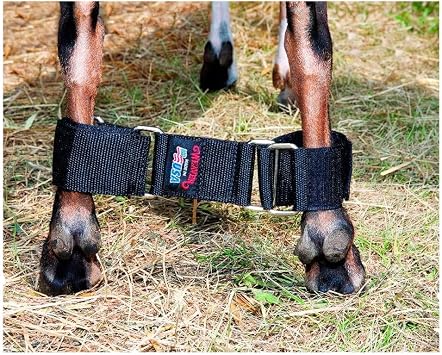 Weaver Leather Adjustable Goat Hobble Black