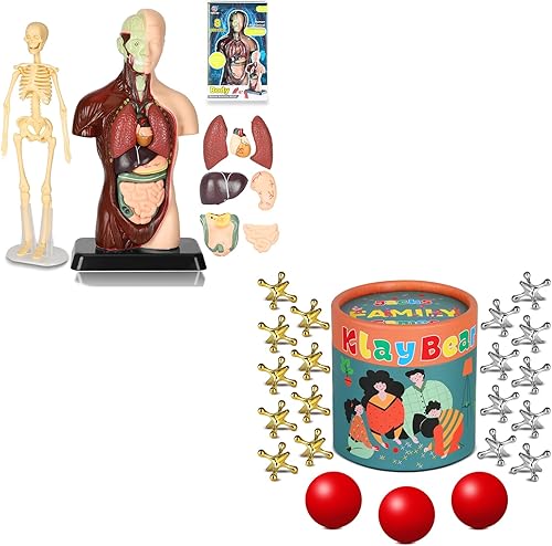 Modelo de cuerpo humano para niños y gatos juego con pelota, juguetes para niños y niñas, regalos para niños a partir de 4 años