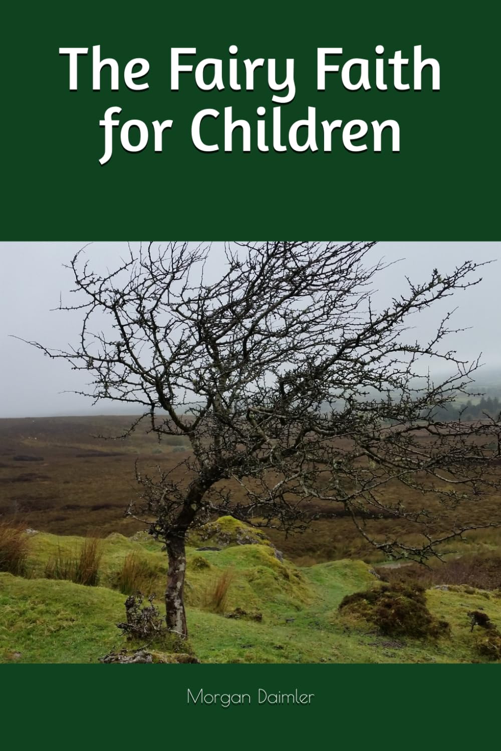 The Fairy Faith for Children