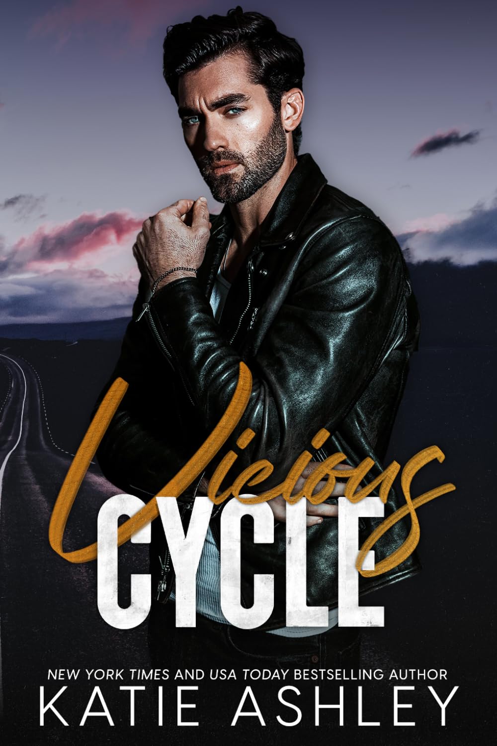 Vicious Cycle: 1 (Hells Raiders MC)