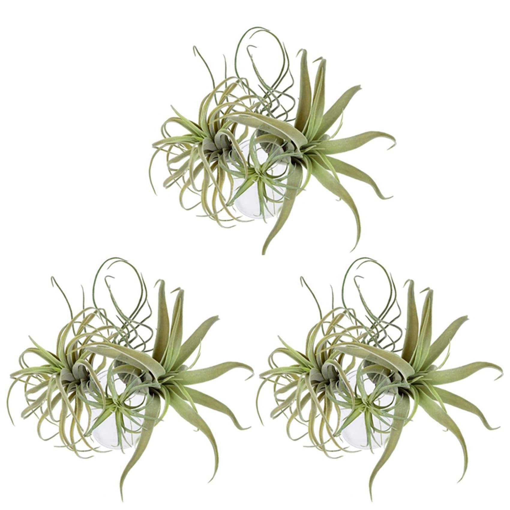 Hndhbfgrt 12Pack Artificial Pineapple Grass Air Plants Fake Flowers Faux Flocking Tillandsia Bromeliads Home Garden Decor