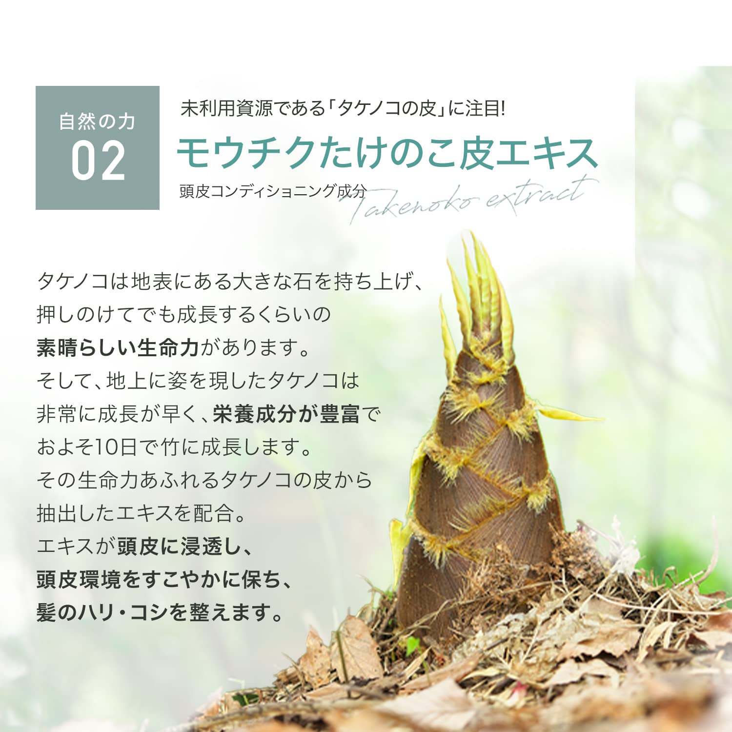 Amazon | 柿のさち スカルプトニック 180ml 柿渋 KnS メンズ ヘア